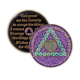 The Token Shop 1 Year Sobriety Coin | Crystallized Purple Glitter AA Chip Recovery Anniversary Token with Serenity Prayer