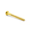 Hippo Hardware M5 (5mm X 50mm) Solid Brass Slotted Round