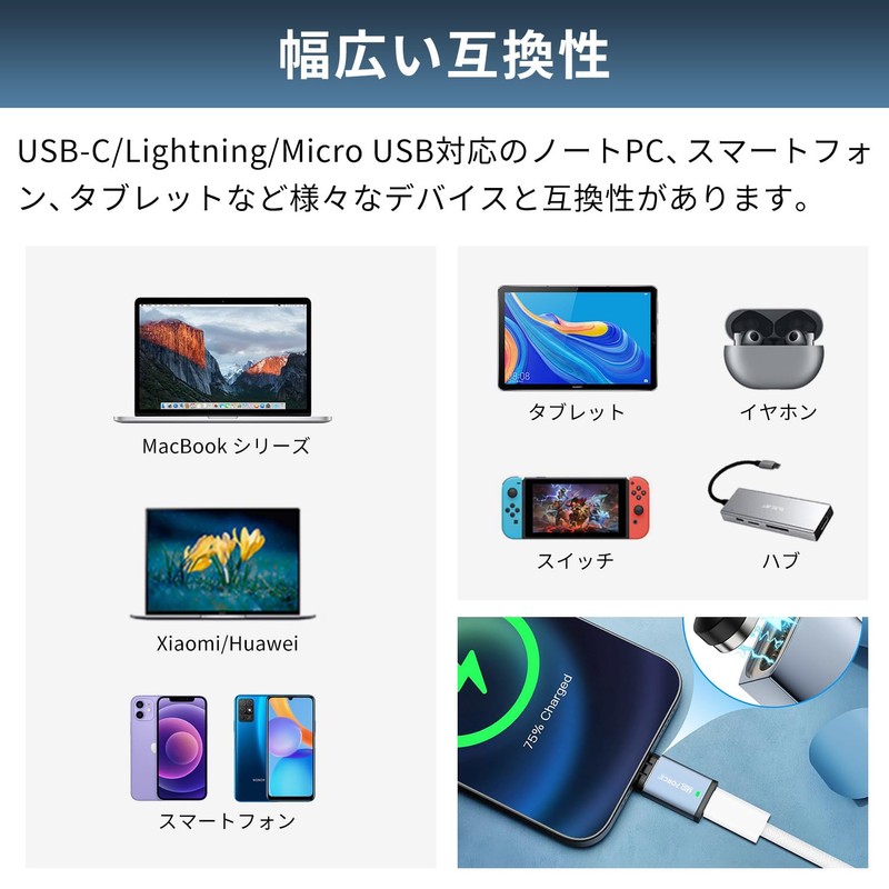 Japanese Company USB-C to USB-C Adapter for USB C to