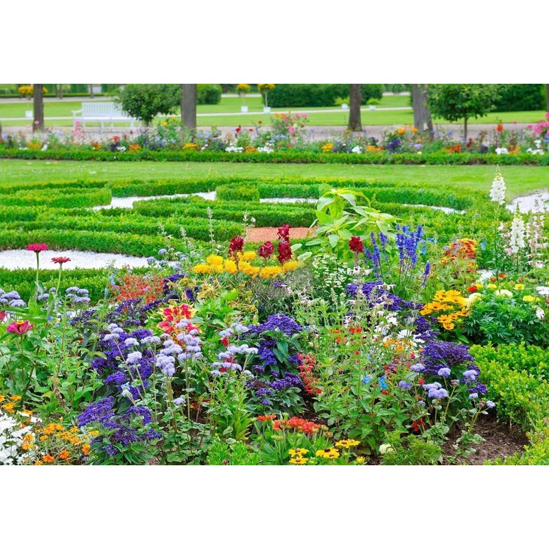 Breoudo 10000+ Mix Wildflower Seeds Bulk Package 34 Varieties Perennial