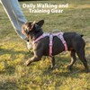 Huntboo Escape Proof Dog Harness, No Pull Reflective Harness with