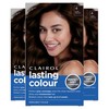 Clairol Lasting Colour Permanent Hair Dye | Perfect Grey Coverage