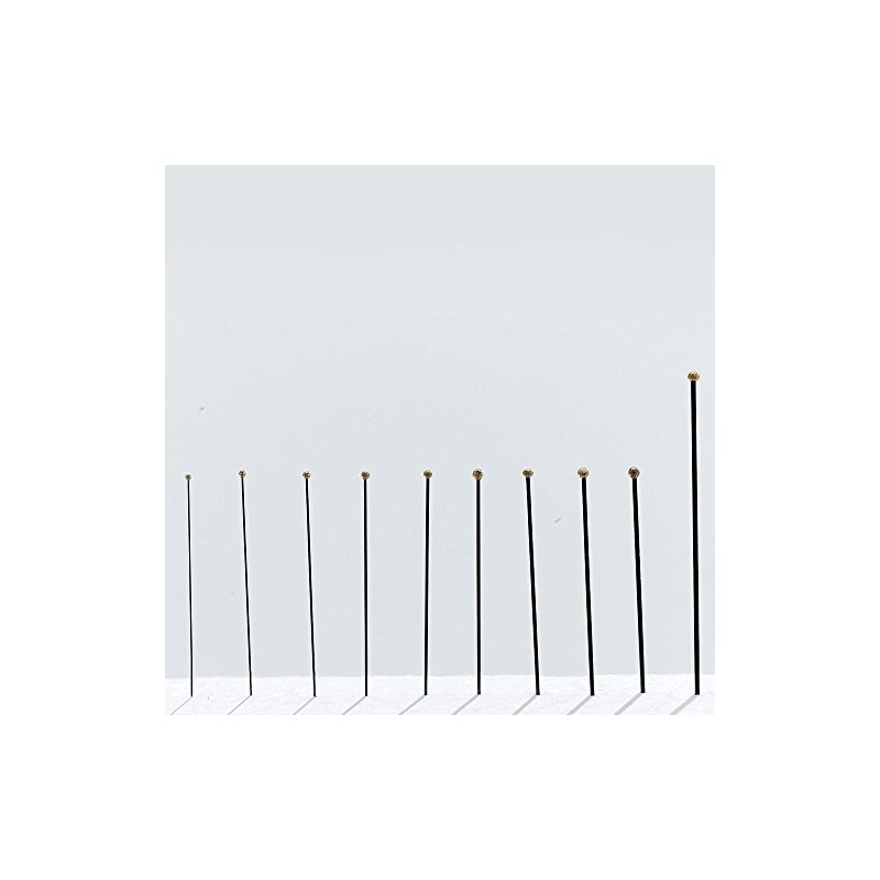 Insect Pins, Black Steel, Size 00, Pack Of 100