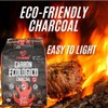 PROMADE - Coconut Shell Charcoal Briquettes – Long-Lasting, High Heat,