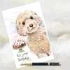 Cockapoo Dog Birthday Card, Cockapoo Dog Greetings Card, Cockapoo Dog.