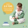 schlummersack Baby sleeping bag with feet, all year round, 2.5