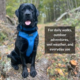 DJANGO Tahoe No Pull Dog Harness – Comfortable, Durable, & Padded Dog Harness with Front & Back D-Rings – Adjustable & Secure Harness for Outdoor Adventures & Everyday Use (Alpine Blue, Medium)