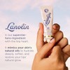 Lanolips 101 Ointment Multipurpose Superbalm Duo, Natural Lanolin Moisturizer for