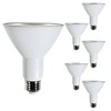 Diodesy- PAR30 LED Long Neck Flood Light Bulb 8W 800