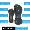Level Fly Trigger Snowboard Gloves with BioMex Wrist Guards, Membra-Therm