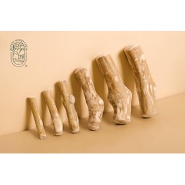 Buddy Wood Chew - Coffee Wood Dog Chew Stick - 100% Natural Toy Safe, Durable XS (Single)