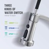GUUKAR Kitchen Faucet with Pull Down Sprayer, Single Handle Brushed