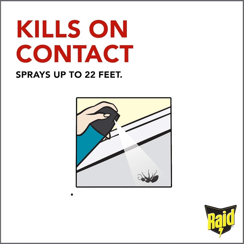 Raid Wasp Hornet Killer Spray 14 Ounce (Pack of 2)