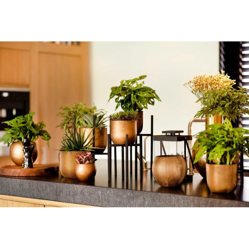 Capi Europe - Flower Pot Ball Groove Black & Gold