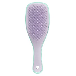Tangle Teezer Wet Detangler Mini Hair Brush, Wisteria Leaf, 1 Piece