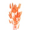 sourcing map 50pcs Natural Dried Pampas Rabbit Bunny Tails Dried