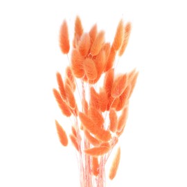 sourcing map 50pcs Natural Dried Pampas Rabbit Bunny Tails Dried Flowers 18" Mini Pampas Grass Lagurus Ovatus Bunch for Home Floral Decor, Orange