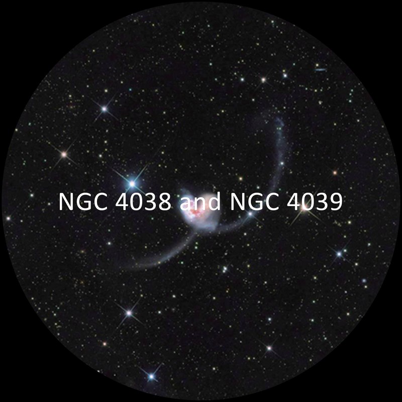 Realistic Discs - Discs for Ainael Meteor and Galaxy Projector,
