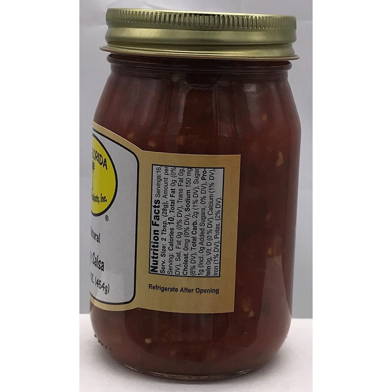 Old Florida Gourmet Salsa Hot Chunky, 16 Ounce - PACK