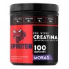 Creatina Monohidratada 500gr Bull Protein Varios Sabores