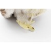 Hansa Owl Soft Toy 26 cm H