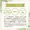 【ジュランツ公式】高須英津子監修 ドクターズコスメ ジュランツ JULLANTS リファインオイルバーム 19g