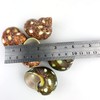 Heyiwell 5PC Spotted Turbo Shells,Hermit Crab Sea Shells 1.5"-2" Inch