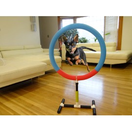 Dog Agility Training Hoop Jump Indoor Outdoor Pet Show Equipment