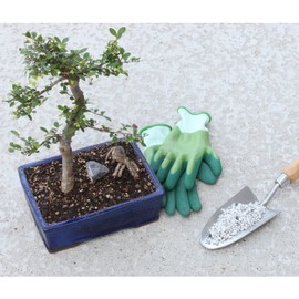 Horticultural Bonsai Pumice Soil Amendment (2 LB), Supplement for Bonsai and Cactus Indoor Plants