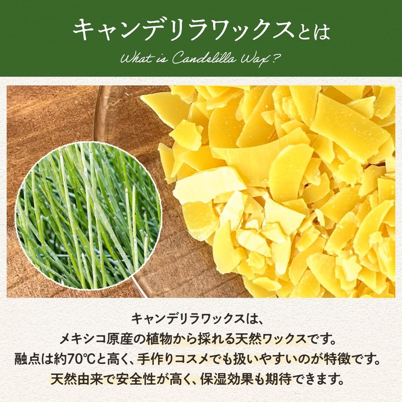 Candelilla Wax 1.8 oz (50 g) Cosmetic Ingredients Lip Soap