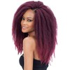 MULTI PACK DEALS! Free Tress Equal Braids Double Strand Style