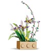 IMPLAY TOYS Live Flower Blocks, Potted Plants, Live Flowers