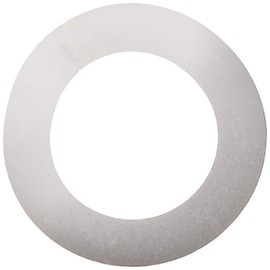 Iwata RS003005001 Shim Ring (SUS) 0.1 x 0.00001 inches (3 x 5 x 0.01 mm) (10 Pieces)