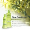 Chihtsai Olive Conditioner - 280ml/9.5oz