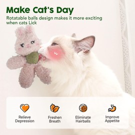 Gavpepy Cat Toys with Catnip Kitten Chew Bite Supplies Boredom Relief Fluffy Kitty Teeth Cleaning Chewing Cat Lovers Interactive Plush Gift (Bear)