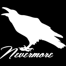 Decal Stickers of Funny Poe Raven Nevermore (White) (Set of 2) Premium Waterproof Vinyl Decal Stickers for Laptop Phone Accessory Helmet Car Window Mug Tuber Cup Door - BICVER1094382WHW19Y24