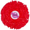 Smarty Stop Nordic Fish Gummy (3 Pound (Pack of 1))