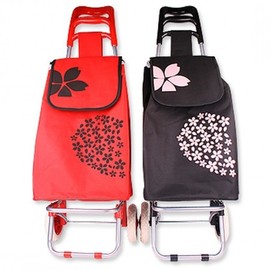 Floral Hand Carrier Assorted