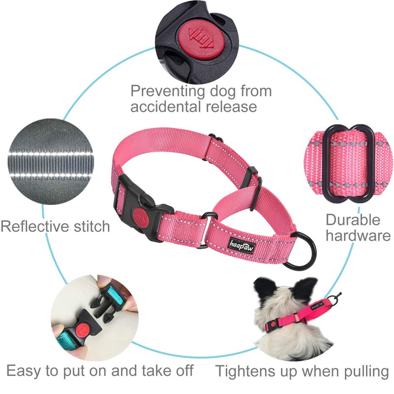 haapaw 2 Packs Martingale Dog Collar with Quick Release Buckle