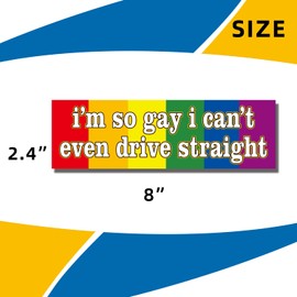 WZCNDIDI I'm So Gay I Can't Even Drive Straight - Flexible Car Auto Bumper Magnet (Rectangular)