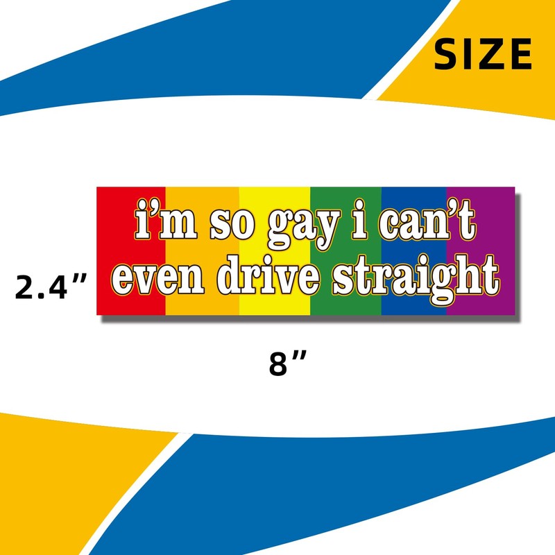 WZCNDIDI I'm So Gay I Can't Even Drive Straight -