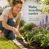 Stainless Steel Hand Weeder for Garden Weed Removal – Y-Shaped