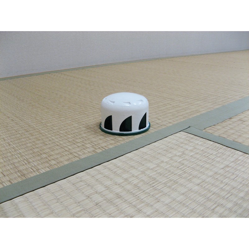 Earth Chemical Danivaria with Natural Herbs, Easy to Use, 1