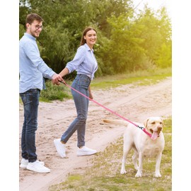 HSIGIO Martingale Collar for Dogs, Reflective Martingale Dog Collar and Leash Set, Adjustable Nylon Martingale Collar with Quick Release Buckle for Small Medium Large Dogs, Pink, M