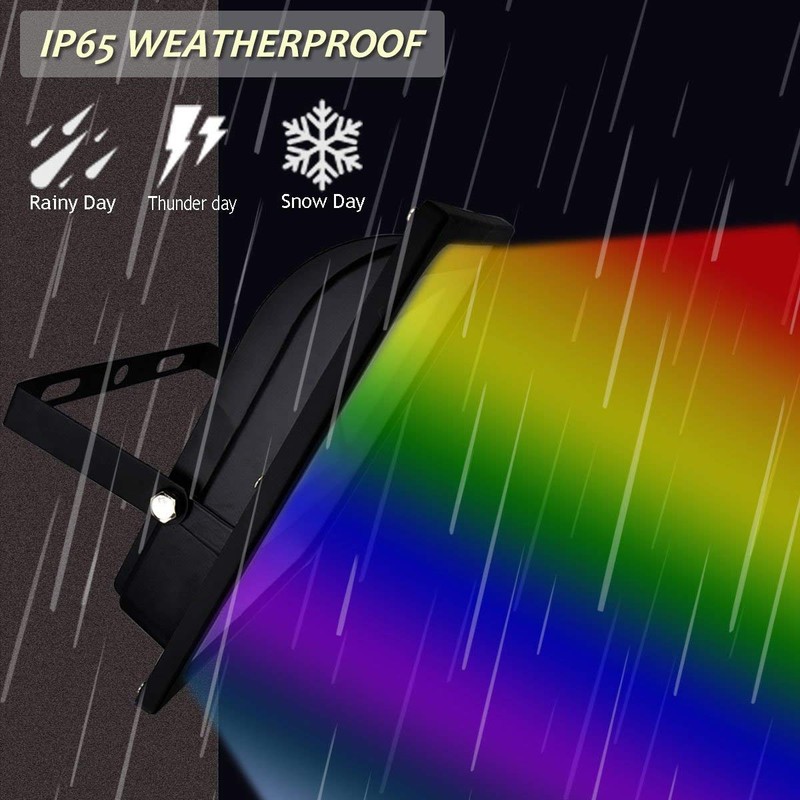 GLW 30W RGB LED Flood Light Remote Control Outdoor Landscape