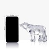 DANRECIN Acrylic Bear Figurine Cute Animal Home Decor Not Crystal