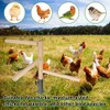 Kalekey Chicken Perch Toy for Coop, Chicken Perch Stand Wooden