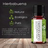 Vida Scents Aceite Esencial Aromaterapia 10ml Difusores Humidificadores 100 Puro