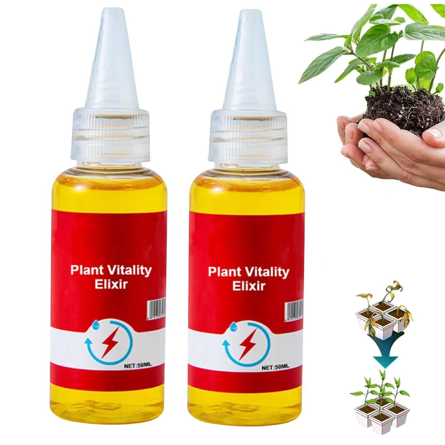 Limetown Plant Vitality Elixir, Money Tree Fertilizer, Limetown Phyto ...