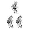 Tattoo Stickers Rose Snake hm1381 Regular Size, Pack of 3